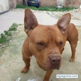 jonathanfajardo chico soltero en Cumbayá