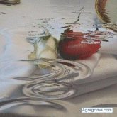 siverbon chico separado en Soto La Marina