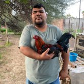 abrahammedina91358
