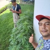 Busco ligar. Busco mujeres afines a mi.