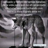 Paulo Bedoya Yepez