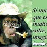 nelson301989 foto #16