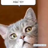 Thor2022 chico soltero en Girardot