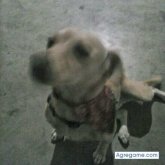 alberto883hd chico soltero en Móstoles