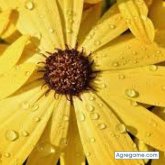 nelson301989 foto #14