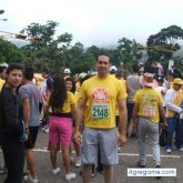 Guzerat chico soltero en San Cristóbal