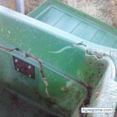 Chatear con franciscofda96 de Las Pedroñeras