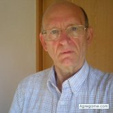 GatoHispano chico separado en Madrid