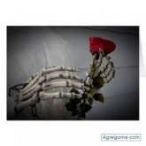 ruddy656551 chico soltero en La Paz