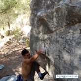 Salusty chico soltero en West Babylon