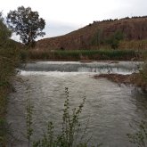 Encuentra Hombres Solteros en Cieza (Murcia)