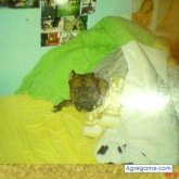 thor foto #28