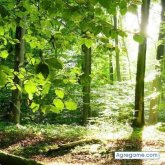 Chatear con mauriciobarrera8568 de Maquinista Savio