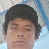 Haroldocaal
