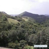 BarbaroRivalta chico soltero en Aguada De Pasajeros