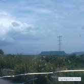 jorgearmandovalenzue foto #22