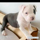 edgar2403 foto #8