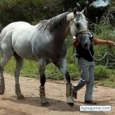 Rey56 chico soltero en Miahuatlán De Porfirio Díaz