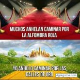 Omargaytan77 chico soltero en Providence