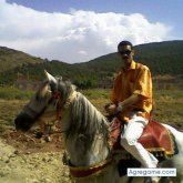 abdbelhadj chico separado en 