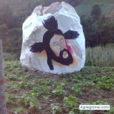 Chatear con Juan97pernia de San José De Guanipa