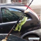 Ver fotos más de miguellopez2797