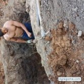 Yanklo chico separado en Sabana Grande