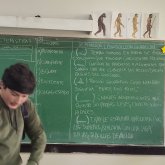 arianbello