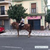 Busco chatear. Mujeres divertidas que