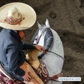 Foto de perfil de JoseluisReyesRuiz