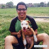 Augustokstro chico soltero en Ventanilla Alta