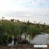 Busco pareja. Conocer amigas. Divertido.