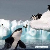 FRESKY chico soltero en Cuautitlán Izcalli