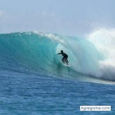 Chatear con alexx99 de Toro