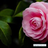 yquemas chico soltero en L'Eliana