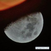 Angelillogrillo foto #16