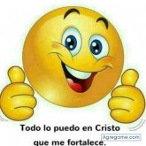 Andrecillo