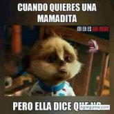 Ulices