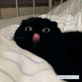 yeald chico soltero en Sucre