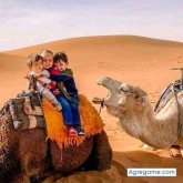 Alnif2015 chico soltero en 