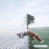 Chatear con jhonrex de Navaconcejo