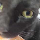 Ayudante de albañi. Busco conocer