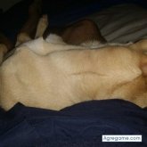 Chatear con davidnavas1768 de Guitiriz