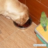 plumas chica casada en Fuenlabrada