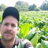 Agricultura. Busco chatear. Busco