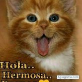 Chatear con Ronal8719 de San Isidro