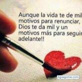 davidrojas6387 foto #9