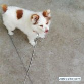 cesarbadia chico soltero en Alcalá de henares