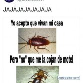 Chatear con andrespulido de San José Del Guaviare