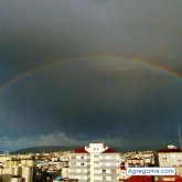 Angelillogrillo foto #15